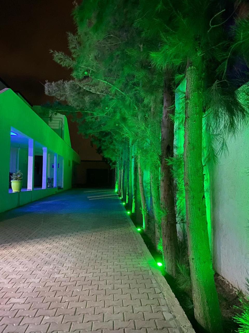 Riad Nice Tagadirt Bagian luar foto